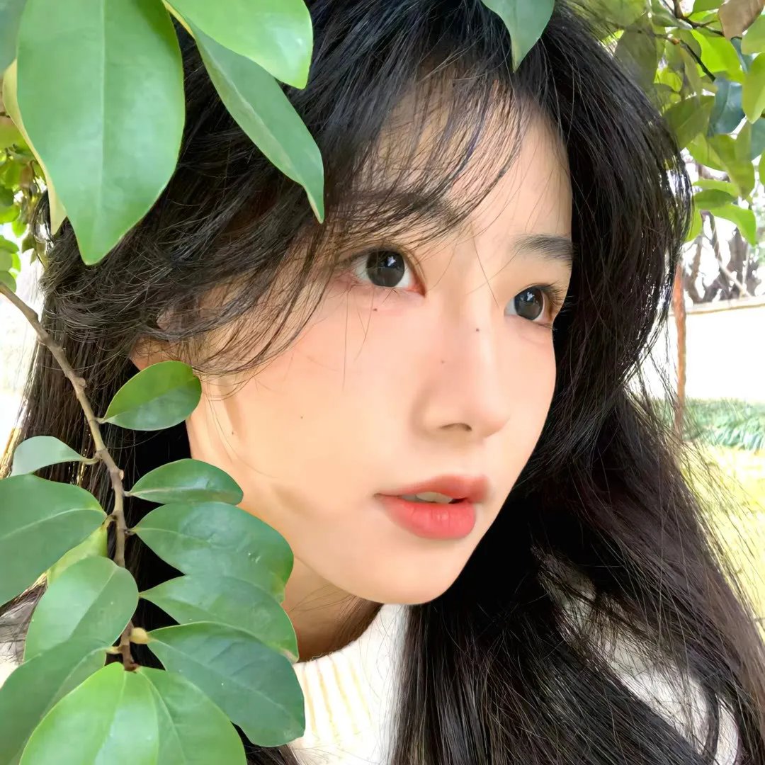 窗边的小荳荳